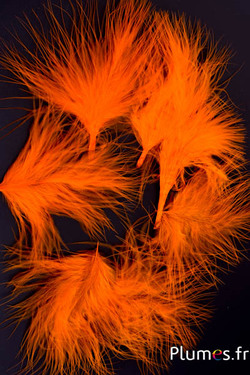 Dinde marabout - 4-7 cm - orange 